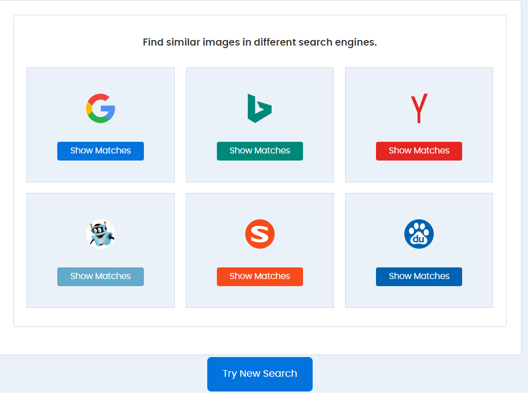 Reverse Image Search